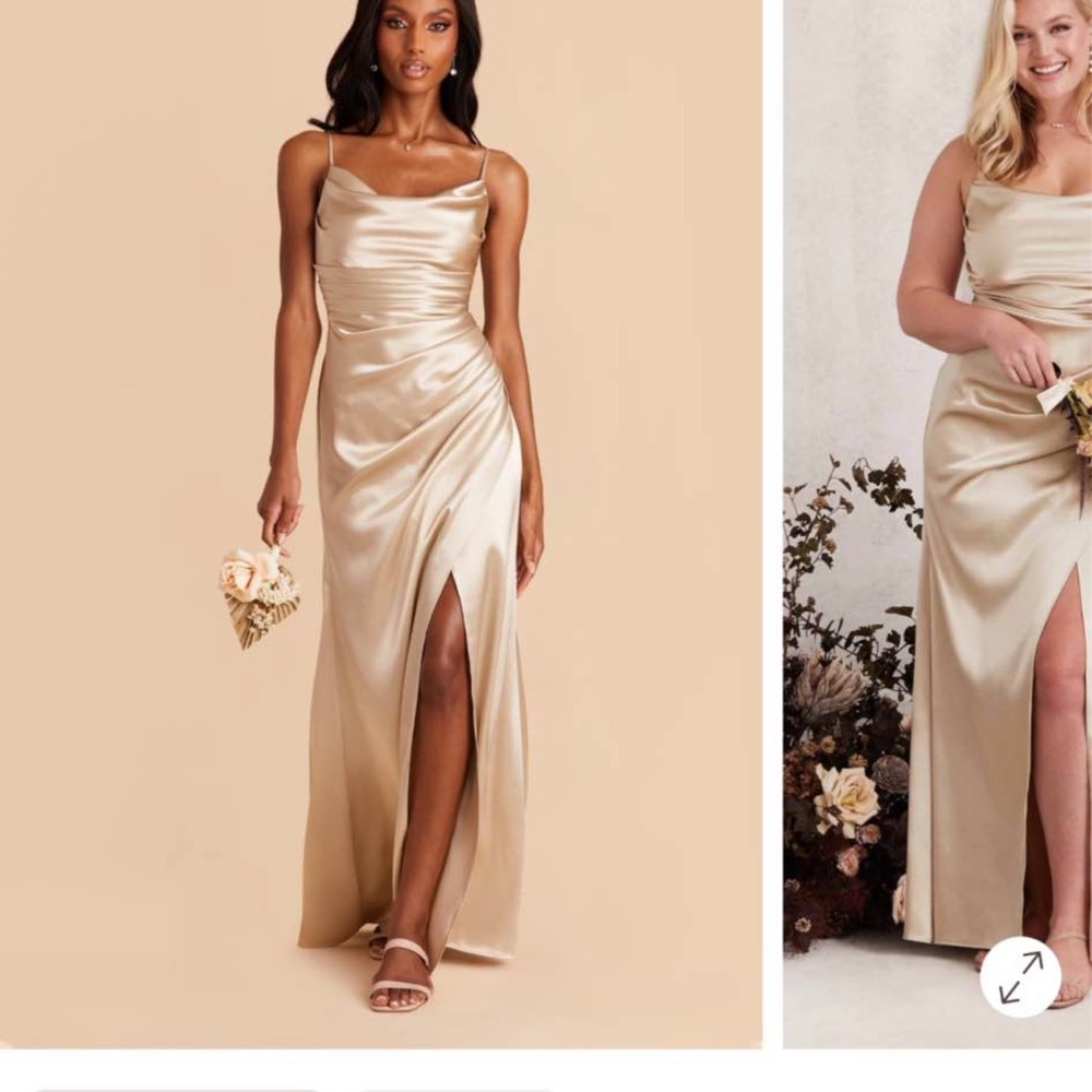 Birdy Grey Lydia dress in Champagne